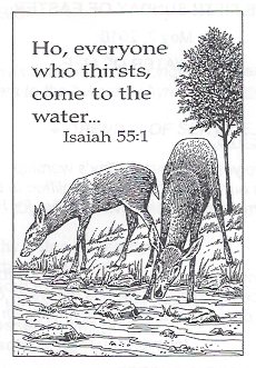 05-02-10-Two-Deer-Drinking-Water-and-quote-from-Isaiah