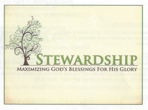11-13-16-stewardship-a-tree-image-also