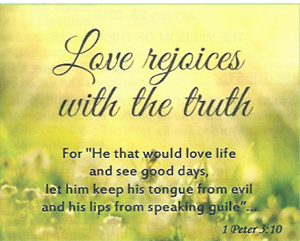 01-25-15-Flowers-In-A-Field-and-Watching-the-Tongue-with-what-we-say-out-of-love-300w