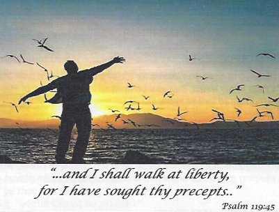 02-10-19-Liberty-License-n-Legalism