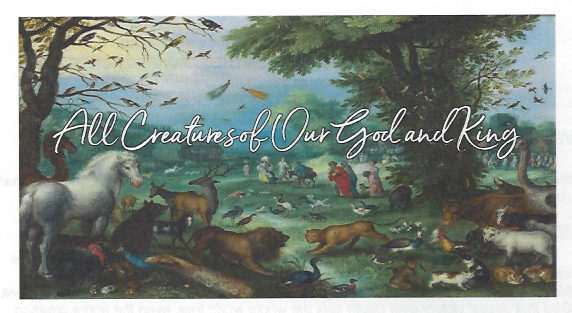 08-28-22-Do-Our-Animals-Go-To-Heaven