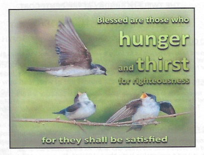 08-20-23-What-Did-Jesus-Mean-Blessed-Are-Those-Who-Hunger-And-Thirst?