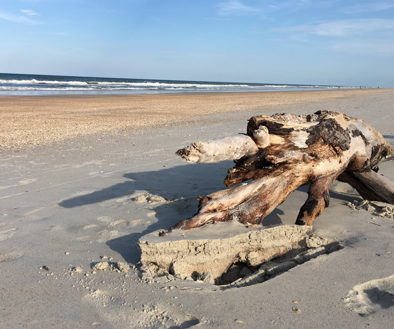 Sermons-2024-IMG_1099