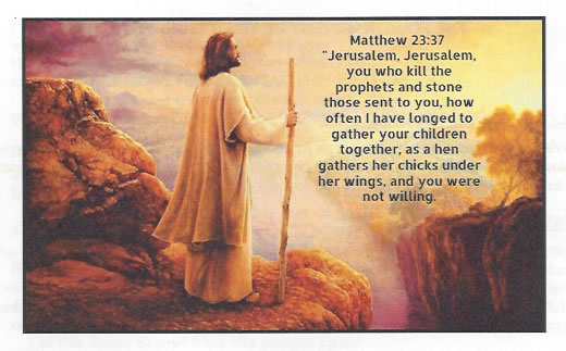 05-11-25-How-Is-Jesus-Love-Like-That-of-a-Mother-Hen