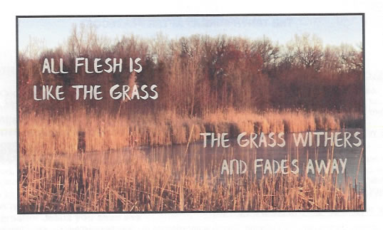 08-17-25-Whats-God-Tell-Us-to-Pursue-in-Life-the-Temporary-or-Eternal